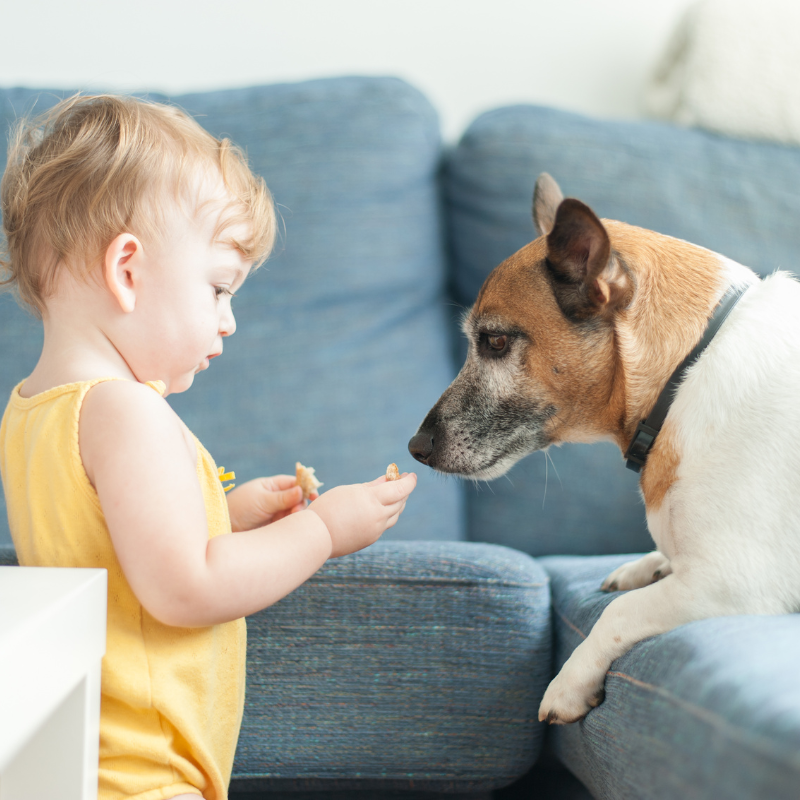 Réservation berceau pour entreprise à Strasbourg 67 Neudorf