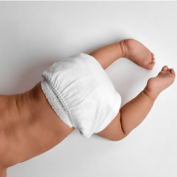 Nos prestations sur le secteur de Ostwald 67540