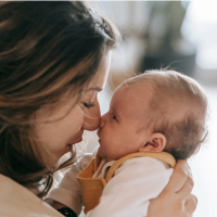 Nos prestations sur le secteur de Strasbourg 67 Neudorf