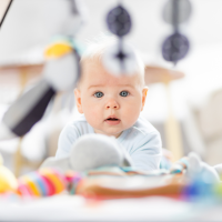 Nos prestations sur le secteur de Ostwald 67540