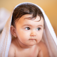 Nos prestations sur le secteur de Illkirch-Graffenstaden 67 Bas-Rhin