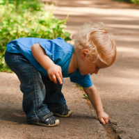 Nos prestations sur le secteur de Ostwald 67540